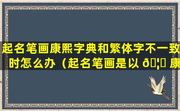 起名笔画康熙字典和繁体字不一致时怎么办（起名笔画是以 🦊 康熙字典还是繁体字笔画为准）